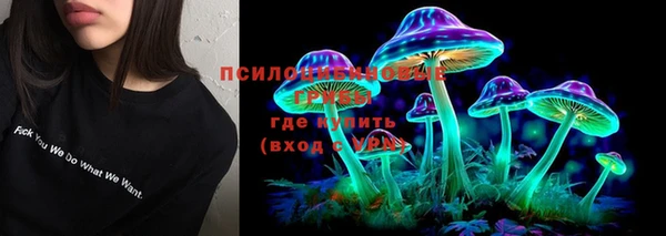 стафф Михайловка
