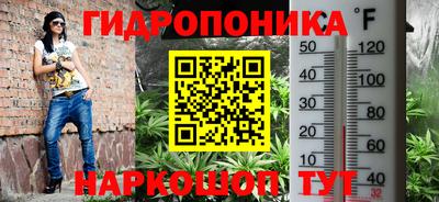 амф Будённовск