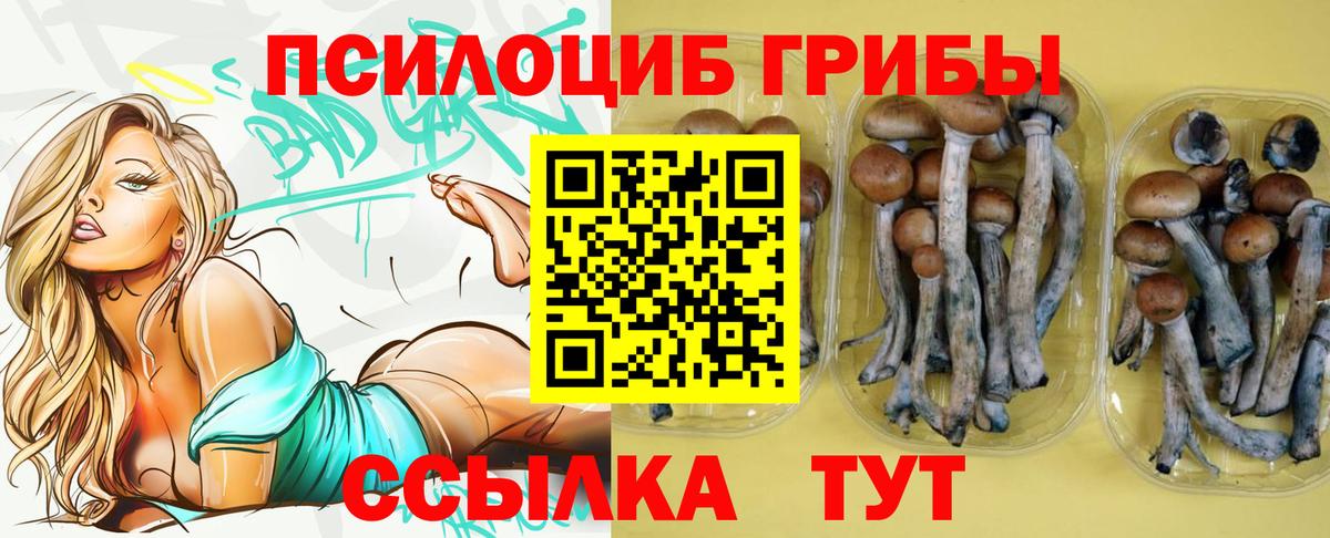 Галлюциногенные грибы Magic Shrooms  Вход с VPN  Фрязино 