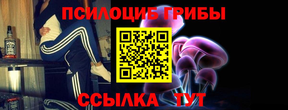 Псилоцибиновые грибы Psilocybine cubensis  Фрязино  Галлюциногенные грибы Psilocybe 
