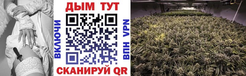 МАРИХУАНА White Widow сколько стоит Фрязино